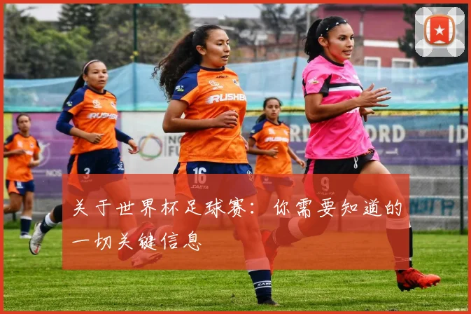 关于世界杯足球赛：你需要知道的一切关键信息
