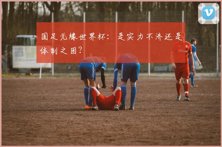 国足无缘世界杯:是实力不济还是体制之困?