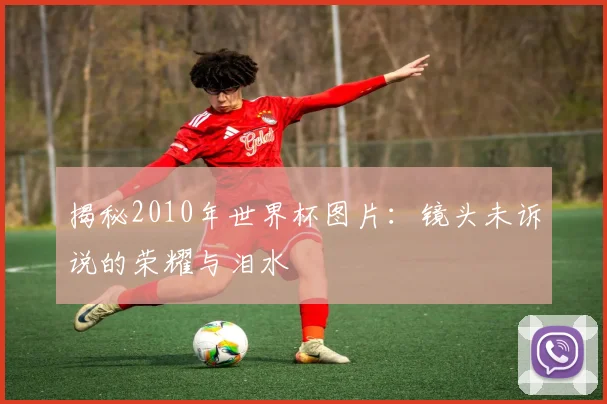 揭秘2010年世界杯图片：镜头未诉说的荣耀与泪水