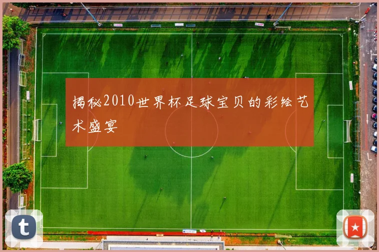 揭秘2010世界杯足球宝贝的彩绘艺术盛宴