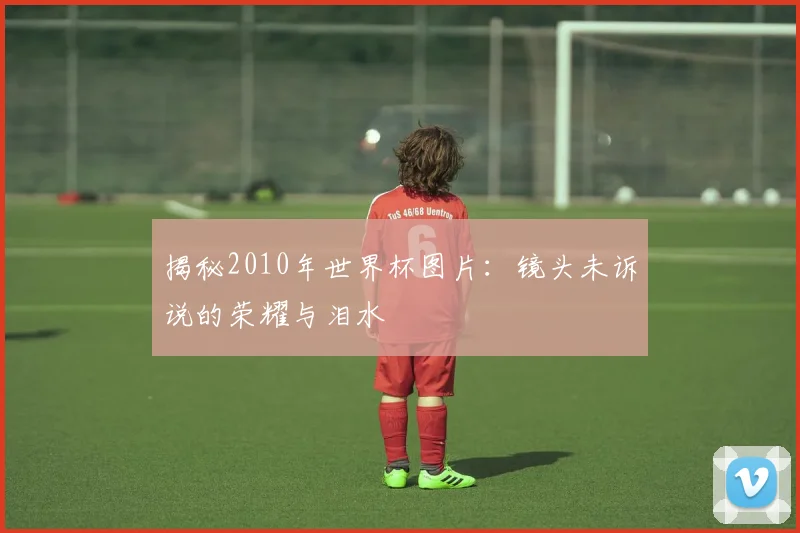 揭秘2010年世界杯图片：镜头未诉说的荣耀与泪水