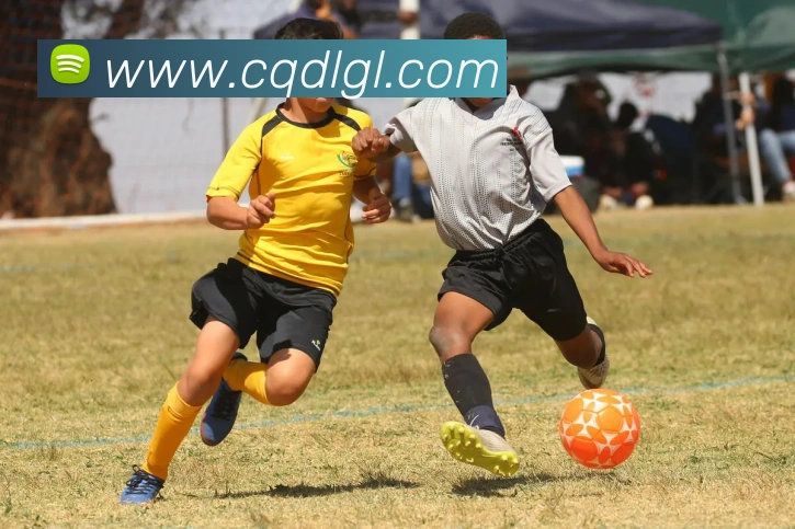 安博app登录入口网页版服务体系